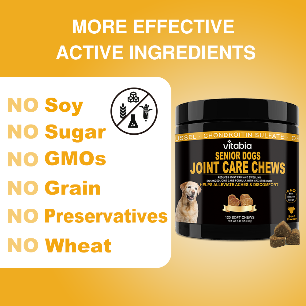 Joint Support Chews for Senior Dogs