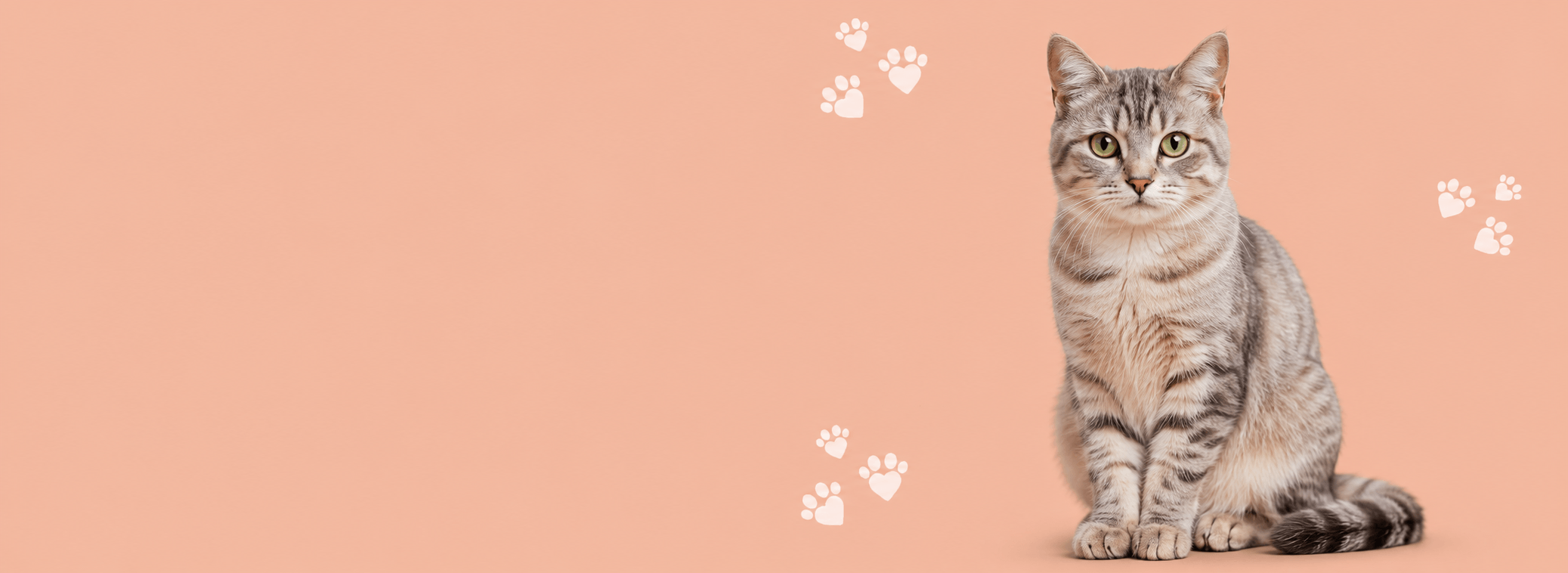A gray tabby cat sits on the right side against a solid peach-pink background with small white paw print illustrations.