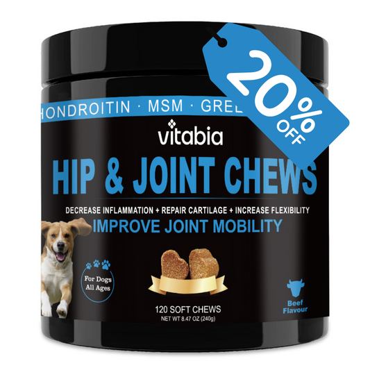 Hip & Joint Chews for Dogs – Joint Health & Mobility Support