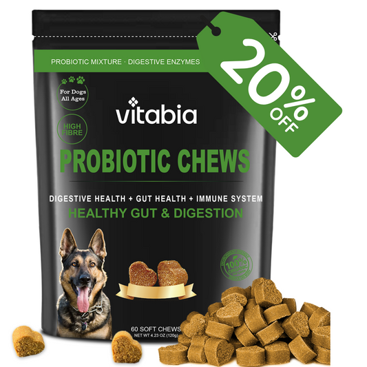 Probiotic Chews for Dogs – Gut & Anal Gland Support | 100% Natural