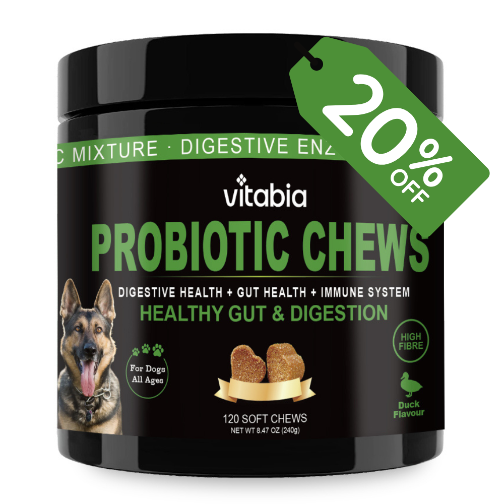 Probiotic Fibre Chews for Dogs – Gut & Anal Gland Support