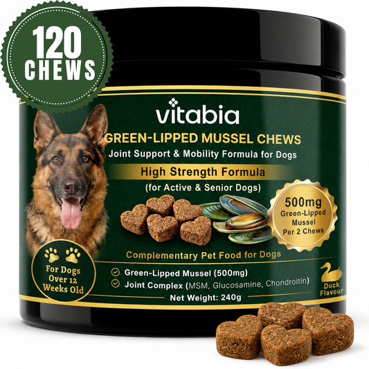 Green Lipped Mussel Dog Chews | Dog Joint Supplement MSM Glucosamine Chondroitin