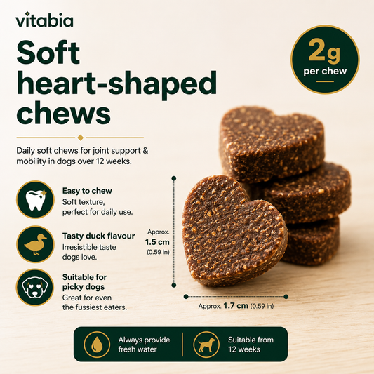 Green Lipped Mussel Dog Chews | Dog Joint Supplement MSM Glucosamine Chondroitin