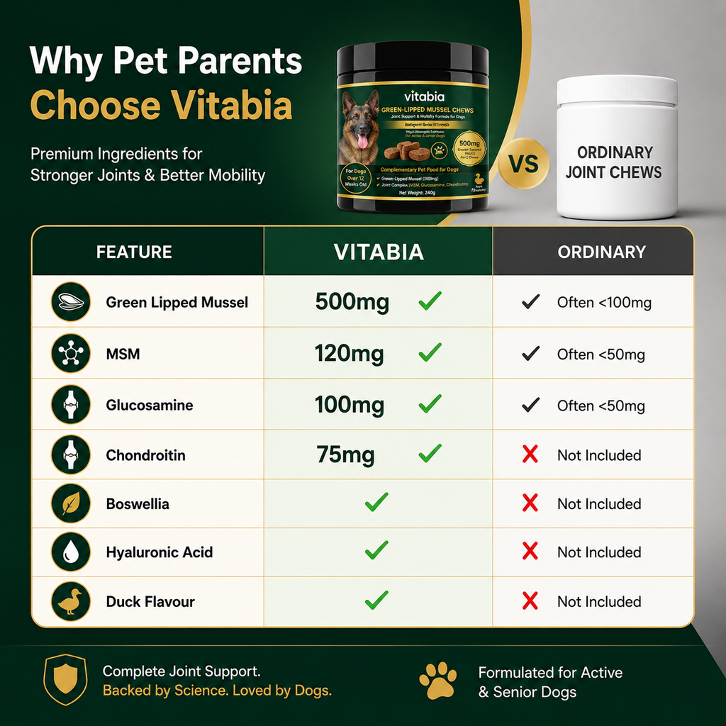 Green Lipped Mussel Dog Chews | Dog Joint Supplement MSM Glucosamine Chondroitin
