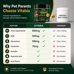 Green Lipped Mussel Dog Chews | Dog Joint Supplement MSM Glucosamine Chondroitin