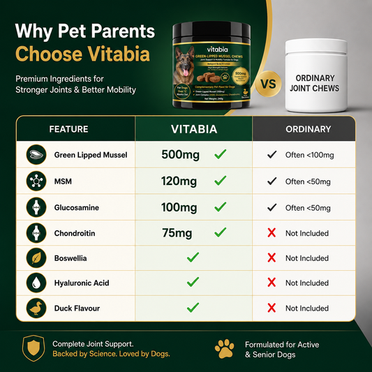 Green Lipped Mussel Dog Chews | Dog Joint Supplement MSM Glucosamine Chondroitin