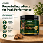 Green Lipped Mussel Dog Chews | Dog Joint Supplement MSM Glucosamine Chondroitin