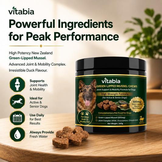 Green Lipped Mussel Dog Chews | Dog Joint Supplement MSM Glucosamine Chondroitin