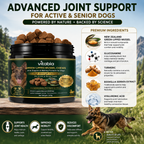 Green Lipped Mussel Dog Chews | Dog Joint Supplement MSM Glucosamine Chondroitin