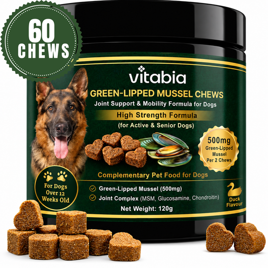 Green Lipped Mussel Dog Chews | Dog Joint Supplement MSM Glucosamine Chondroitin