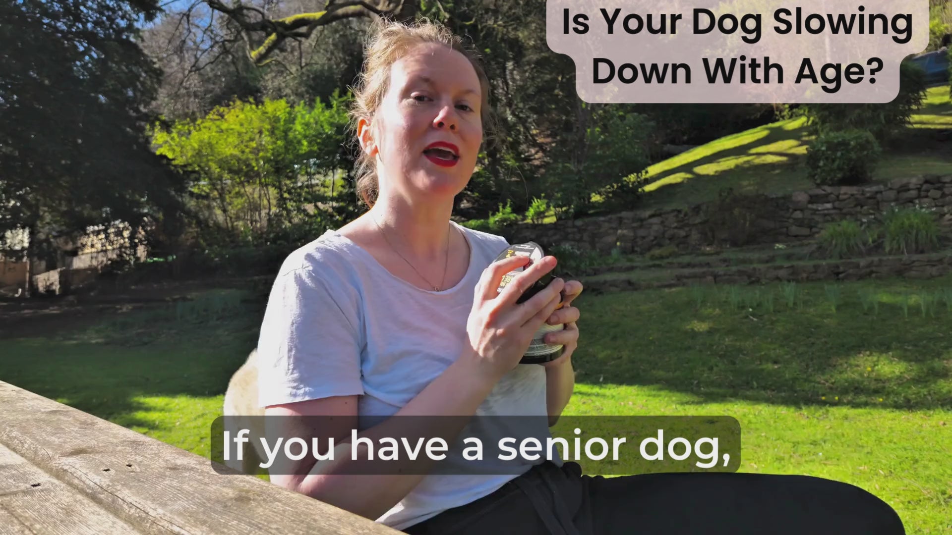 Senior Dog Joint Supplements – Glucosamine, Chondroitin, MSM & Omega 3 for Mobility & Joint Health | Vitabia UK