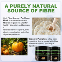 Probiotic Fibre Chews for Dogs – Daily Gut & Coat Support