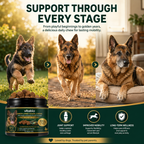 Green Lipped Mussel Dog Chews | Dog Joint Supplement MSM Glucosamine Chondroitin