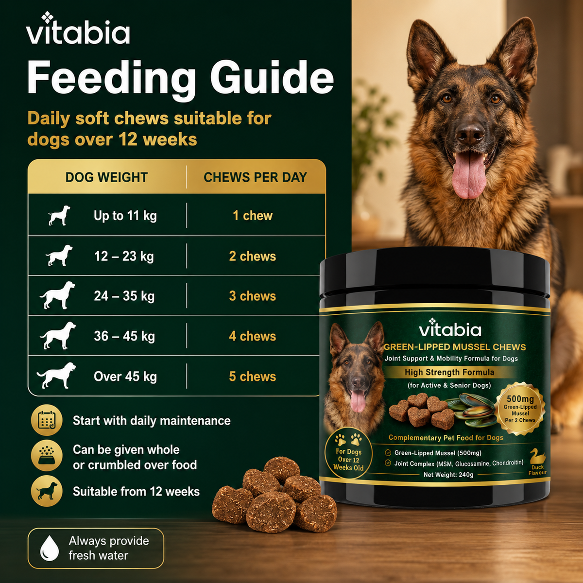 Green Lipped Mussel Dog Chews | Dog Joint Supplement MSM Glucosamine Chondroitin